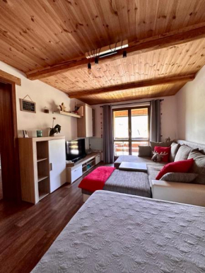 Apartmán s výhledem na Jezerní stěnu Zelezná Ruda